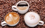 Advances In Research On Naturally Decaffeinated Coffee Varieties Made By Coffee Research Group