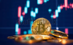 Bitcoin Reaches A More Than Yearly High Amid Enthusiasm Over The BlackRock ETF