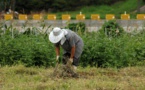 EU approves new aid package for affected farmers