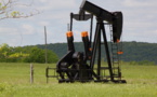 OPEC+ loses 3 million bpd of oil production from 2020 due to lack of investment