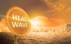 Experts Estimate That 61,000 Europeans May Have Perished In Last Summer's Heatwaves