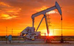 G20 Bloc Is Unable To Agree On Reducing The Use Of Fossil Fuels