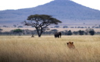 African countries propose global climate tax to protect poor nations