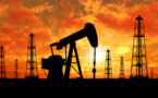 Oil Will Rise to $ 100 by 2016