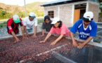 Private companies weave their magic and help farmers connect with their land and the market