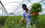 Smart Farming takes root in South Africa