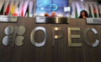 OPEC Raised its Forecast for Demand for its Oil in 2015