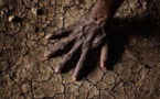 65% of Africa arable land is damaged and of poor quality