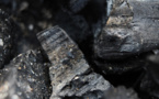 Fitch raises iron ore and coal price forecast for 2023-2024