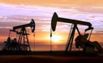 Venezuelan Oil Will Be Purchased By India, Indian Minister Says