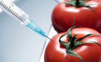 The US and Europe: On the Threshold of GMO War