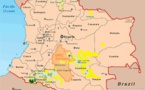 Colombia bans aerial spray on cocaine fields