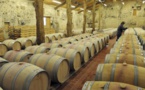 China Overtook France in Vineyards