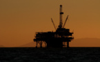 IEA head forecasts slowdown in global oil demand growth in 2024