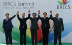 How BRICS Harms Itself