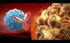 Pfizer, Bristol Carry out Tests for New Cancer Drugs, Eyes Lucrative Immuno-Oncology Market