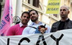 Italia and Lithuania are Against Gay Marriages