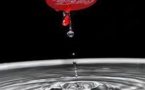 Coca Cola Set to Replenish all the Water it uses for Beverage Bottling by 2015