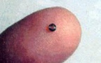 World’s Smallest Ball Bearings Developed in Japan and Recognized by Guinness
