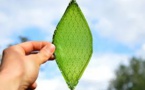 Silk Leaf To Produce Oxygen Artificially
