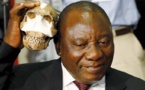 Scientists Discover The Skeleton Of A Species That Is Thought To Be The Missing Link Before The Modern Man