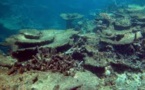 'Earth Index' Finds Coral Reefs are Worth Four Times as Much as UK Economy