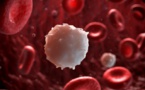 Scientists Have Discovered Ways To Kill Leukemia Cells With Another Leukemia Cell