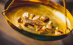 Tracing The Gold Rush: How Forensic Science Is Uncovering The Environmental And Human Cost Of Illegal Mining