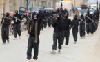 German Parliament Backs Military Intervention in Syria Against IS Millitants