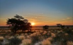 Fracking Rights Sold Out in a National Park in Botswana