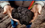 Export of Tar Sands to Europe to Rise Alarmingly: Reports