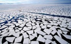 Arctic Region “Profoundly Affected’ by Record High Temperatures in 2015
