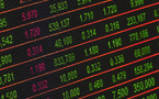 AI firm Cerebras delays IPO due to national security scrutiny of investments