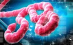 As Liberia Expects All-Clear, Ebola Epidemic to be Declared Over by WHO