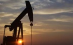 OPEC Deal is Unlikely and Global Oil Glut to Worsen: IEA