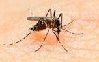 First Case of Zika Virus Infection Confirmed in China: Zinhua News Agency