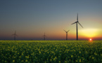 Nine EU Countries Leading in the Field of Renewable Energy