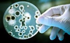 Bacteria Use Their Body To See
