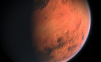 The largest “piece of Mars" on Earth to be sold at Sotheby's