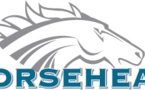 Horsehead Holding Corp. Opts For ‘Voluntary Restructuring’ Under Chapter 11