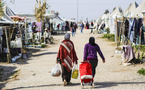 About 850,000 Syrian refugees returned home since Assad's resignation