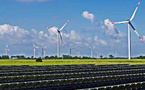 Renewable energy for the first time overtakes coal in electricity generation