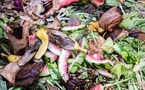 Advance Commitments Push Biowaste Carbon Removal Toward Commercial Scale