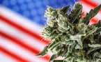 US Federal Reclassification Reshapes Cannabis Economics but Leaves Consumer Reality Largely Unchanged