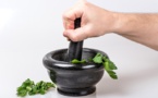 Scientists Have Formulated ‘Herbal Antibiotics’