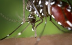 Only Three Months Left To Host Olympics 2016, Brazil Tries To Contain Zika Virus Cases
