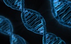 World’s Smallest DNA Thermometer Is ‘20,000’ Smaller Than Human Hair