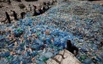 Supply Shock in Plastics Accelerates Asia’s Shift Toward Sustainable Packaging Alternatives