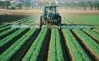 Trump is against migrants; meanwhile, there's no hands to gather crops in the US