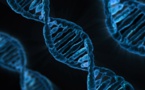 How genetic engineering can affect the world economy